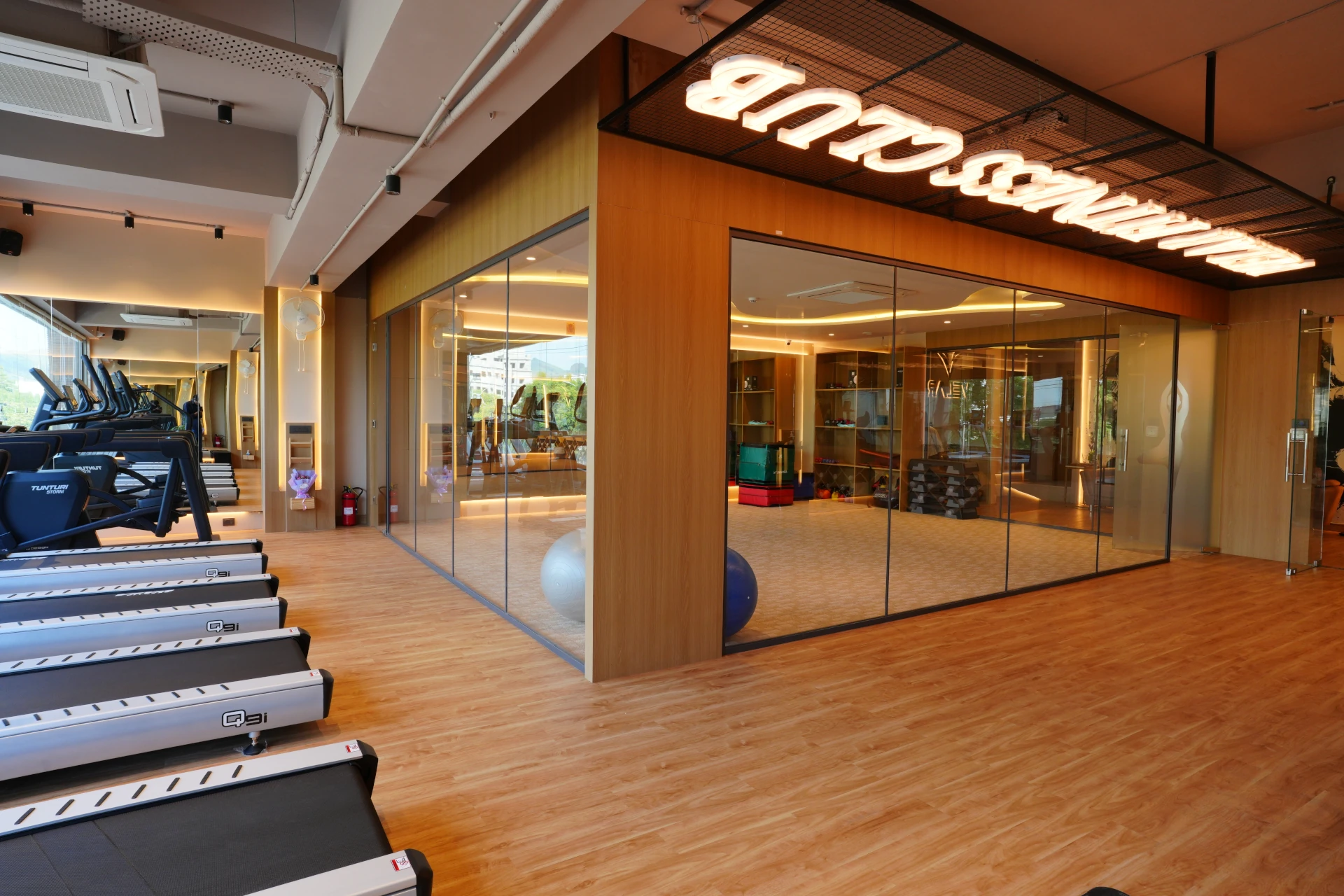 Rehabilitation Program